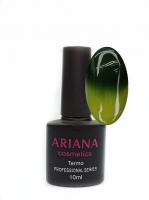ARIANA cosmetics professional series Termo №013