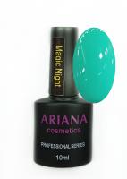ARIANA cosmetics professional series Magic Night