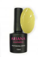 ARIANA cosmetics professional series №633