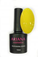 ARIANA cosmetics professional series