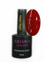 ARIANA cosmetics professional series Magic Night