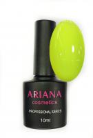 ARIANA cosmetics professional series