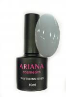 ARIANA cosmetics professional series