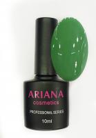 ARIANA cosmetics professional series