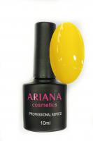 ARIANA cosmetics professional series