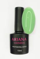 ARIANA cosmetics professional series №088