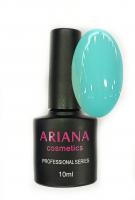 ARIANA cosmetics professional series №604