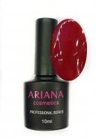 ARIANA cosmetics professional series