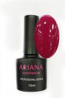 ARIANA cosmetics professional series