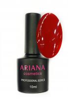 ARIANA cosmetics professional series