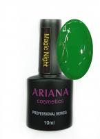 ARIANA cosmetics professional series Magic Night