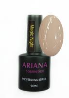 ARIANA cosmetics professional series Magic Night