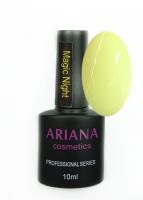 ARIANA cosmetics professional series Magic Night