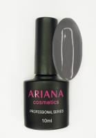 ARIANA cosmetics professional series