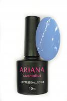 ARIANA cosmetics professional series