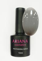 ARIANA cosmetics professional series