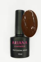 ARIANA cosmetics professional series