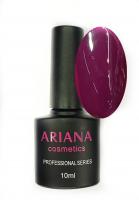 ARIANA cosmetics professional series