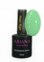 ARIANA cosmetics professional series Magic Night