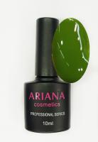 ARIANA cosmetics professional series