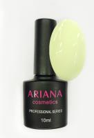 ARIANA cosmetics professional series