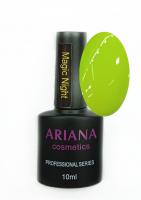 ARIANA cosmetics professional series Magic Night