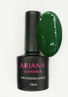 ARIANA cosmetics professional series