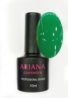 ARIANA cosmetics professional series